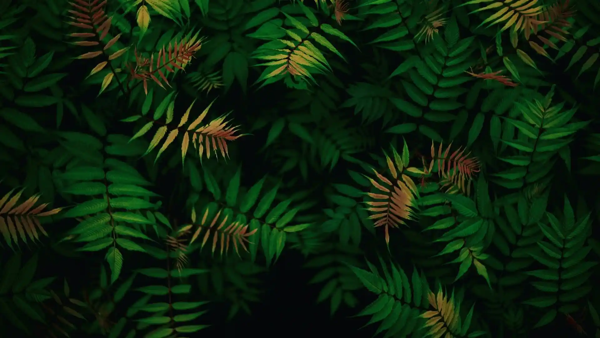 test dulu aja